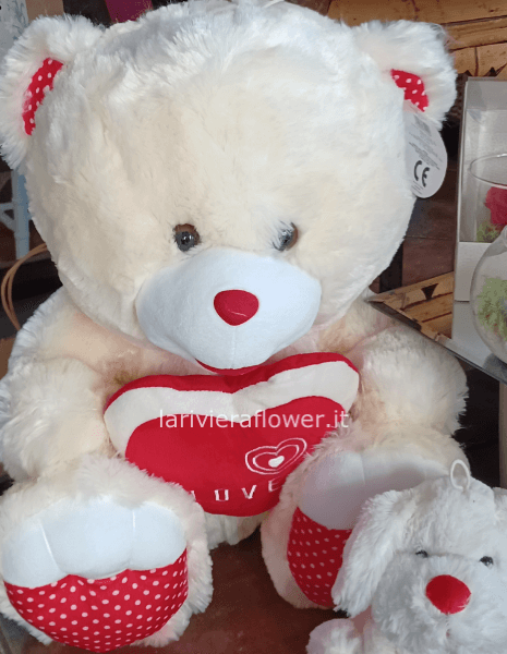 Orsacchiotto di peluches