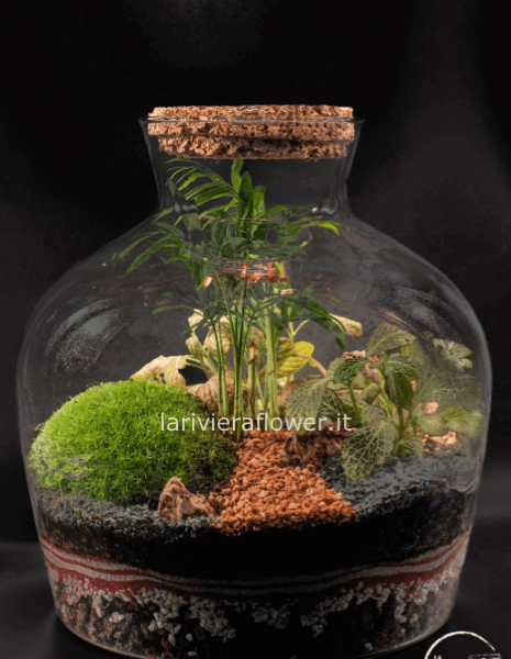 Terrari