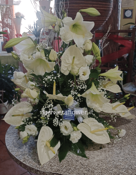 Composizione elegante 