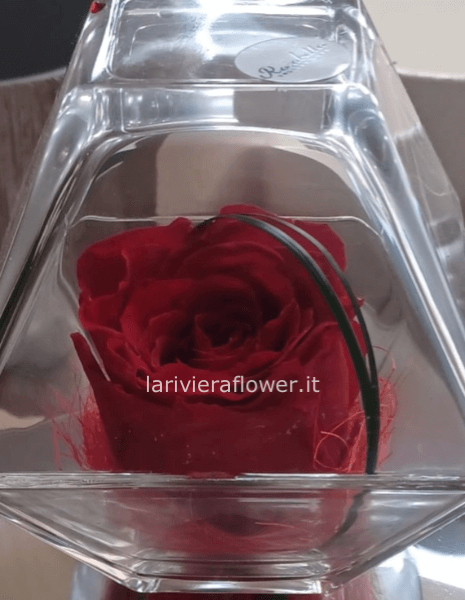 rosa stabilizzata a piramide